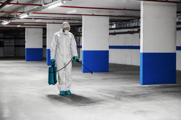 Reliable Pest Management Solutions for Sydney's Businesses